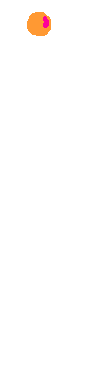 Pfeil9anim.gif (6366 Byte)