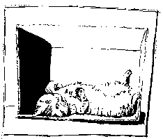 Schka2.gif (2228 Byte)