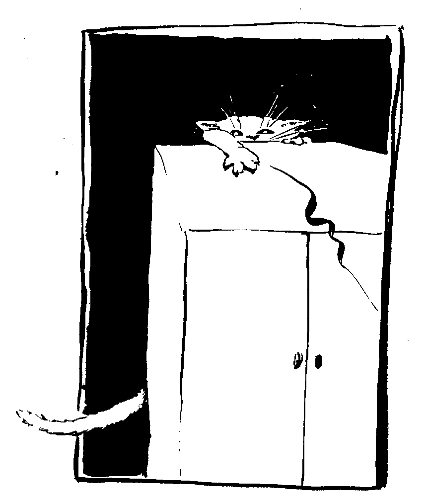 trainkz4.gif (13449 Byte)